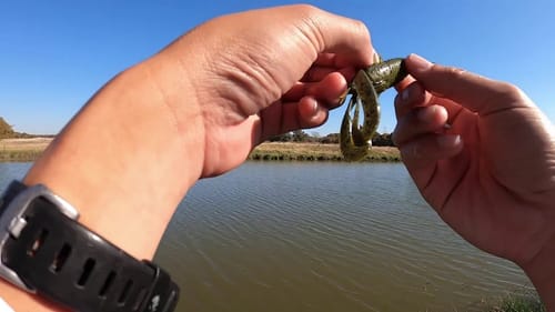 Quick Session at the Pond: Late Fall Bass Fishing