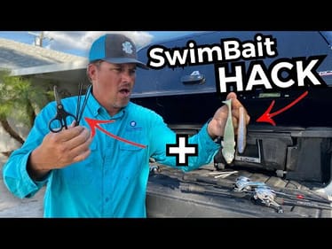 Swimbait HACK That I DIDN’T Want To Tell You