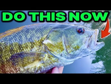 You’ll NEVER Use an Underspin Again After Seeing This Winter Trick