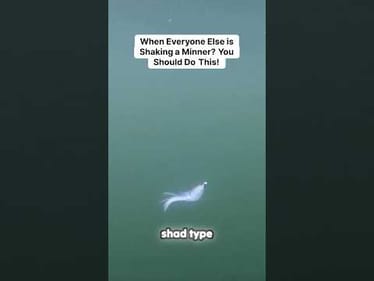 Subtle Secret To Winter