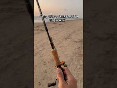 This is your sign to always take a rod! #fishing