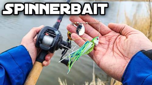 Spring Bass STILL Love Spinnerbaits (Spring Bank Fishing)