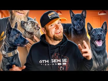 Dog Sees Owner For First Time In A Year! A Heartwarming Reunion Of A Man And His K9