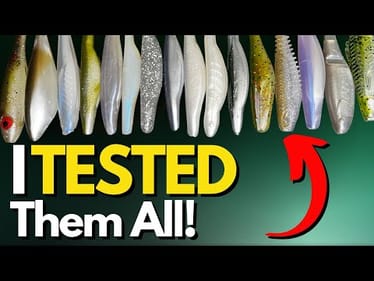 15 Soft Jerkbaits Put To The Test UNDERWATER! (Which Do You Like?)