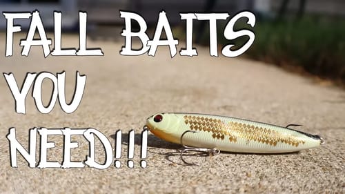 Top 5 Fall Bass Fishing Baits