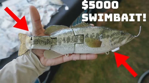 This Swimbait Meet Up In Texas Was Insane! Swimbait Universe: The Gathering!