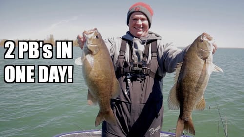 Lake Erie Smallmouth Fishing with a Keitech Swing Impact Fat Swimbait! Best Smallmouth bass Bait!