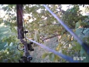 Deer Hunt with I-Kam Sunglasses