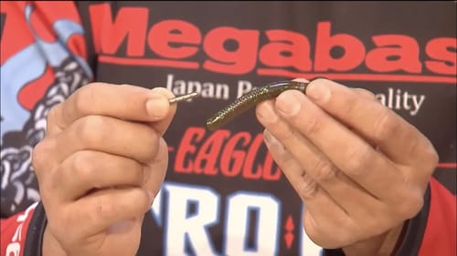 Neko Rig 101 with Chris Zaldain