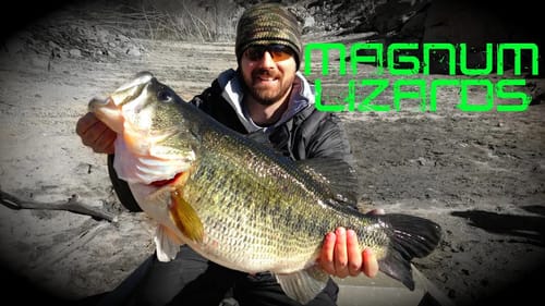 Magnum Lizards for Summer Bass