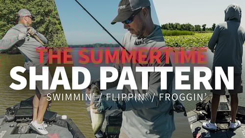 Summer Shad Pattern (Get MORE Bites doing THIS!)