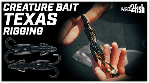 Why You Should Fish THIS Bait Over a Texas Rigged Worm