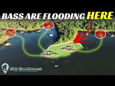 Bass are Flooding To THESE Offshore Areas Right Now – I’m Catching Bass on Every Cast!