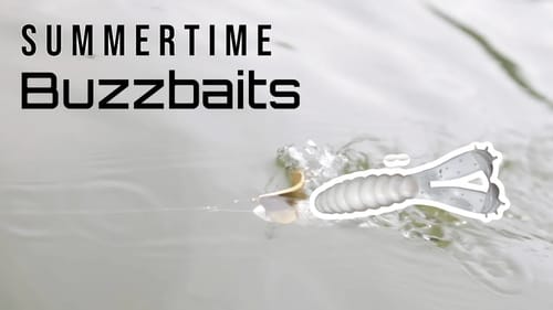 My Summertime Buzzbait System | Bass Fishing Tackle Tutorial