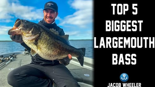 Catching one of the BIGGEST Fish of my LIFE!