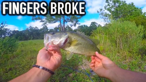 Bass Fishing a NEW Pond !