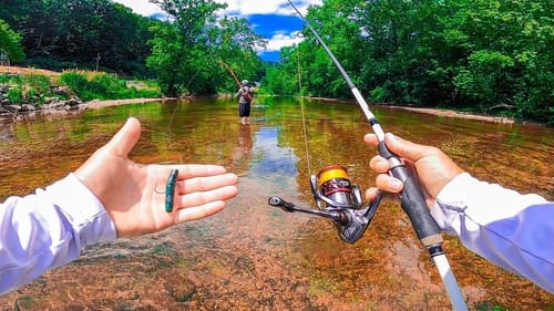 Searching For Smallmouth Wading In SHALLOW Crystal Clear River