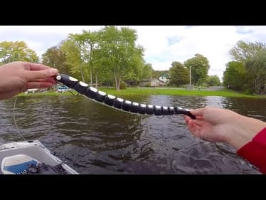 WEIRDEST Lure Ever?