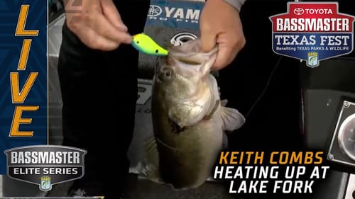 Combs heating up on Lake Fork