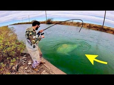 This TINY SPILLWAY holds a MASSIVE FISH!!