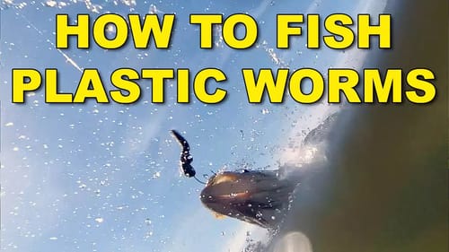 How To Fish Plastic Worms (The Best Ways) | Bass Fishing