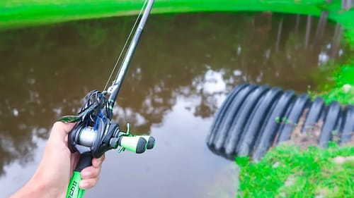 Catching GIANT Bass on BIG WORMS (Bank Fishing)