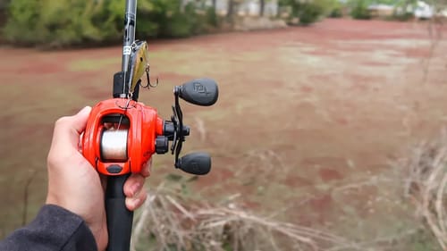Fishing an INFESTED Pond (LOADED w/ HUGE BASS)