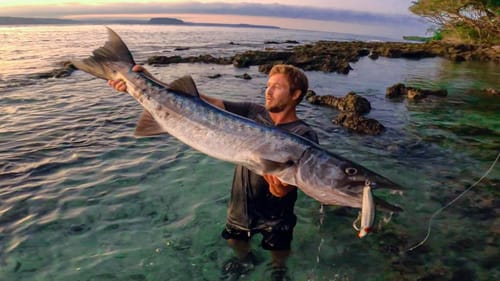 Monster Fish Catch and Cook!