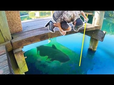 CAN WE CATCH THIS DOCK MONSTER??! (INSANE)