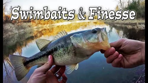 Bass Fishing A POND & Trolling Motor Upgrade!
