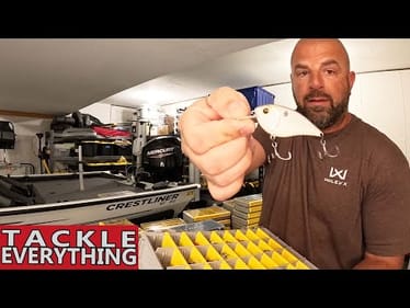 Tackle Organization - BEST Ways to Organize Tackle