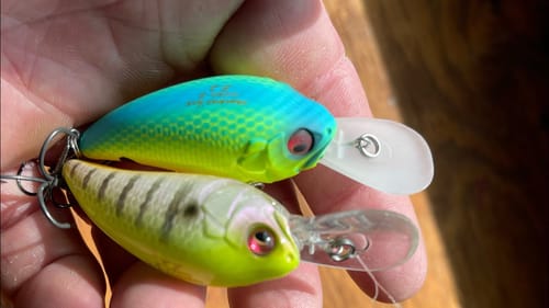 Try This Post-Spawn Fishing Technique