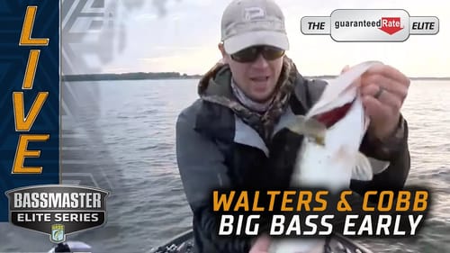 What a start! Brandon Cobb and Patrick Walters with big bass early at Lake Fork