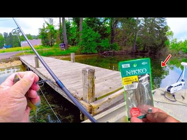 Easy Way To Catch A Load Of Bluegill To Eat! Easy Fish For Dinner