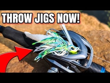 Summer Bass LOVE Swim Jigs!