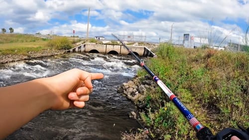 Fishing SPILLWAYS with a Special Guest