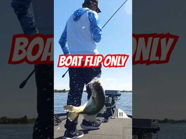 Chatterbait 🎣 Fishing Harris Chain MLF Toyota Series #short #bassfishing #boatfliponly