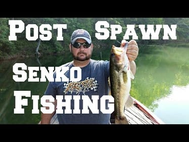 Post Spawn Bass Fishing Tips - Senko