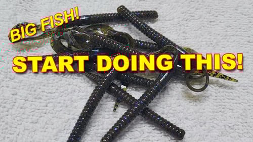 Bass Fishing Plastic Worms From Shore | Bass Fishing