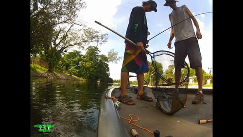 Peacock Bass Fishing in Florida Part 1