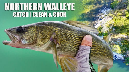 Fishing Swimbaits for Northern Walleye | Catch Clean & Cook