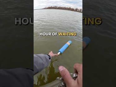 Can We Catch A Fish On A Jug Line? #fishing #fishing #fishingvideos