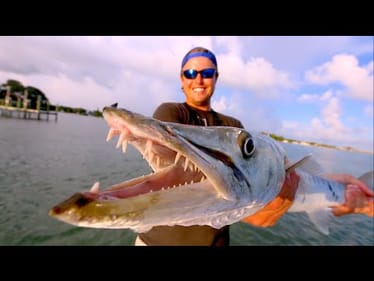 THESE FISH ARE INSANE!!