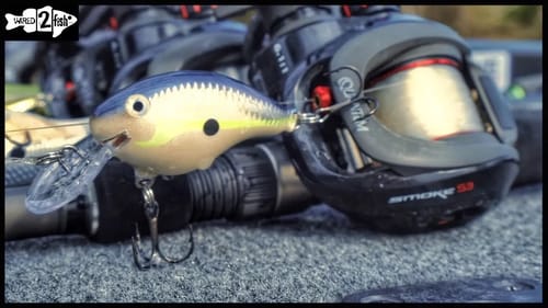 GMAN’s Prespawn Balsa Crankbait Breakdown