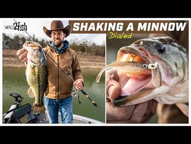 Shaking a Minnow for Winter Bass with Joey Cifentes