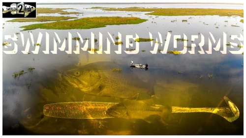 How to Swim Worms for Springtime Bass