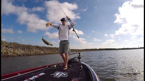 Bass Fishing Crankbaits on Rip Rip Tips