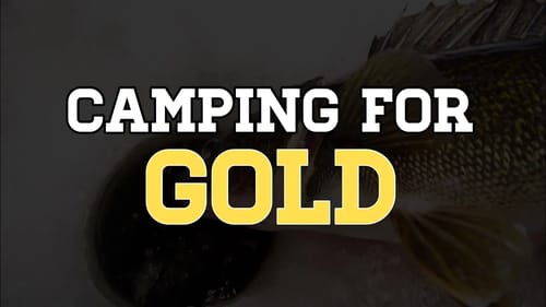 Camping for Gold - Walleye Series