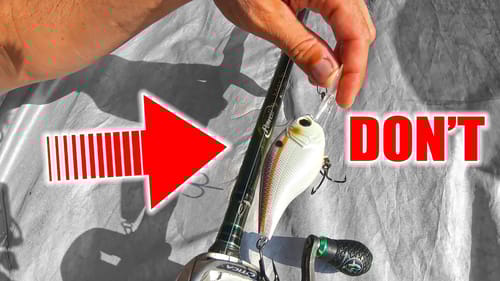 THINGS NO ONE Tells YOU About Fishing CRANKBAITS
