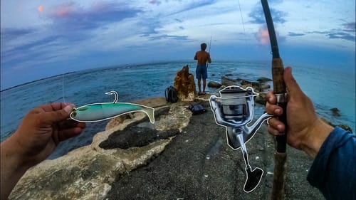 Hooking GIANT Fish Off the Rocks + Insane Feeding Frenzy